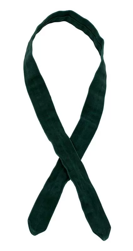 Camp Merrie-Woode Tie