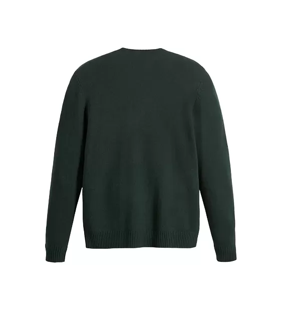 Levi's men's crew neck long sleeve sweater A4320-0007 green