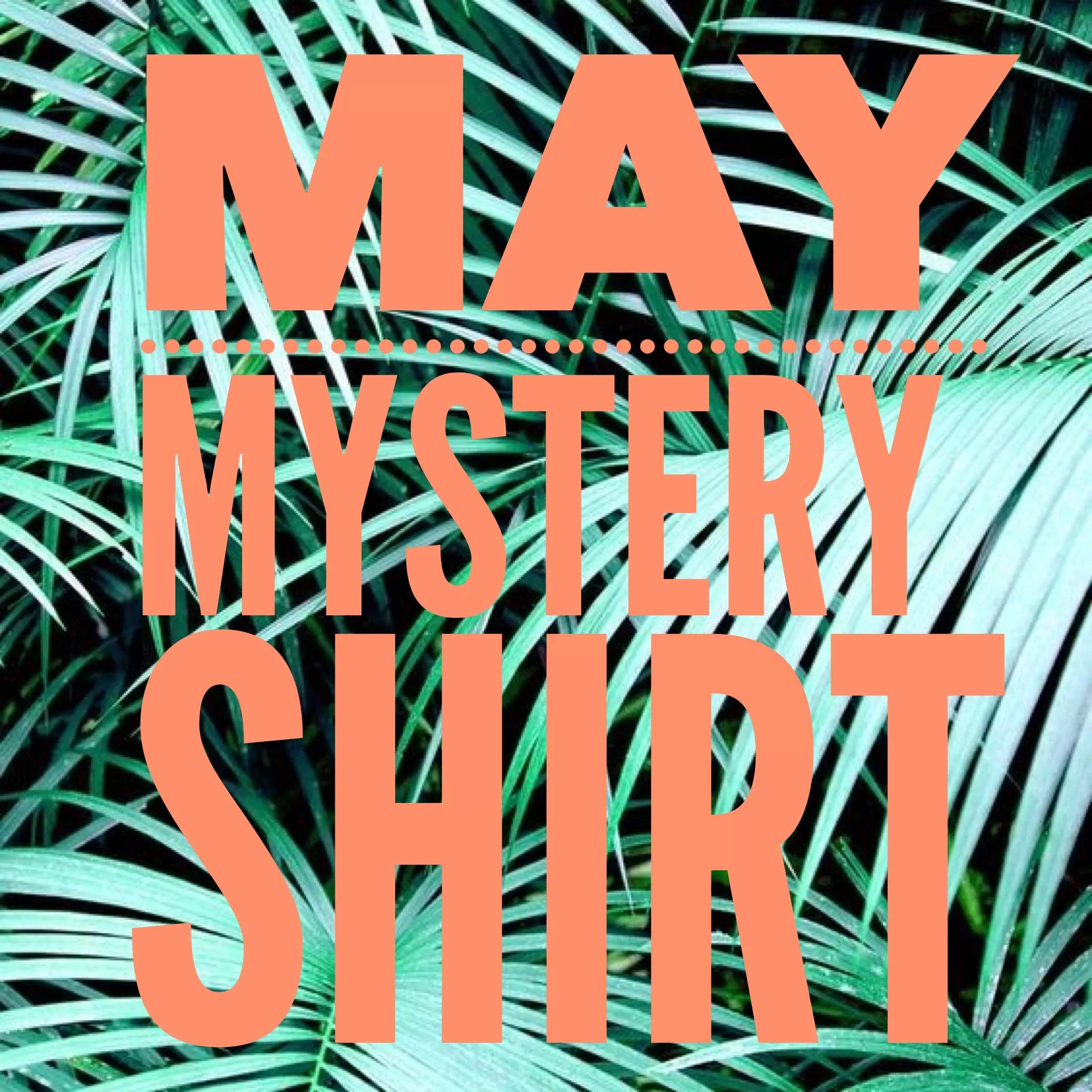 May 2020 Mystery Shirt {Pre-Order:  Ships First Week of May}