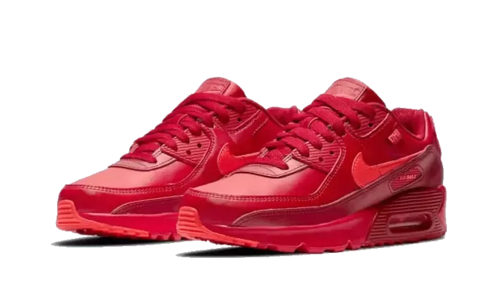 Nike Air Max 90 Chi-City Special