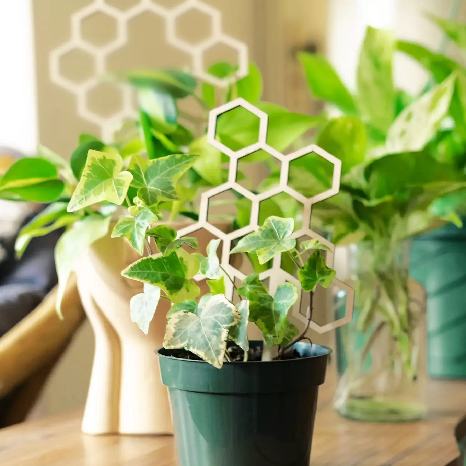 Small Honeycomb Plant Trellis