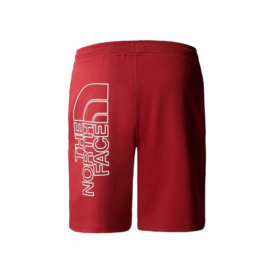 The North Face men's sports shorts Graphic Light NF0A3S4FPOJ rust